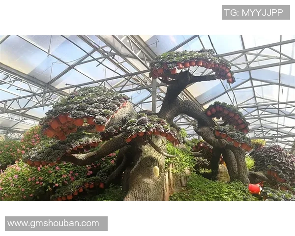 巴塔足球的魅力与发展探索:从传统到现代的演变之路 巴塔足球的魅力与发展探索:从传统到现代的演变之路